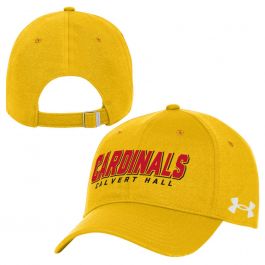 Under armour hot sale cardinals hat